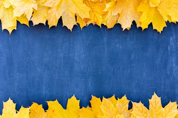 Autumn leaves frame on blue background top view