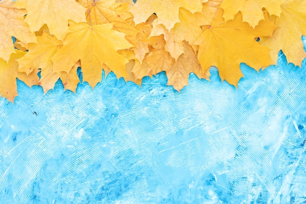 Autumn leaves frame on blue background