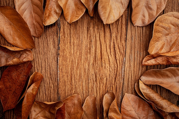 autumn leaves frame on vintage old wooden background