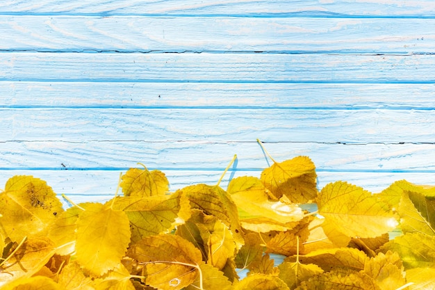 Autumn leaves frame on wooden background top view