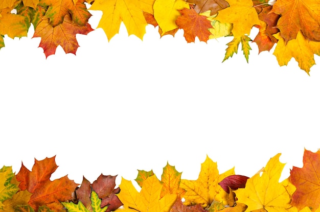 Autumn leaves frame