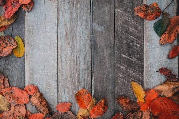 Autumn leaves over old wooden background with copy space