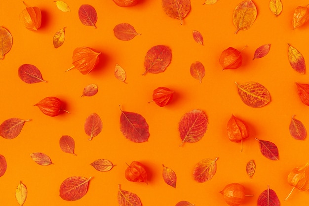 Autumn leaves on an orange table 