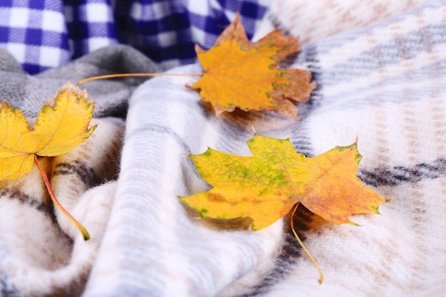 Autumn leaves on plaid closeup