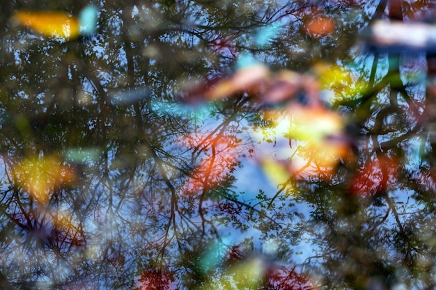 Autumn leaves at the puddle