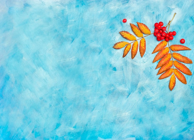 Autumn leaves of rowan in the right corner on a blue background