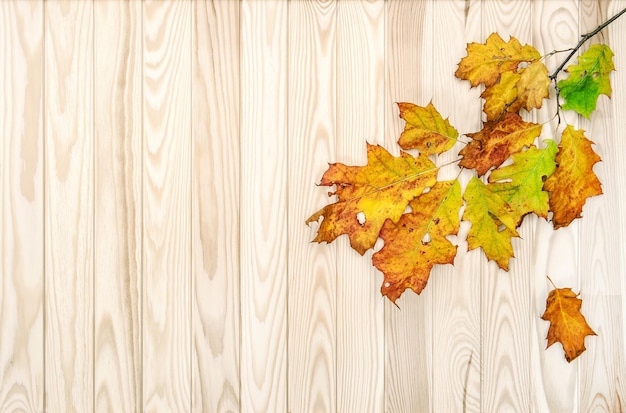 Autumn leaves on rustic wooden texture Autumn background