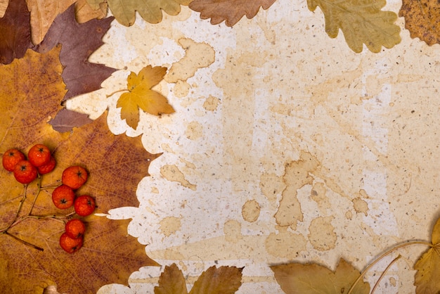 Autumn leaves on textured paper