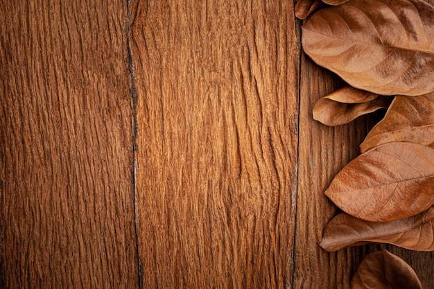 autumn leaves on vintage old wooden background