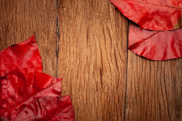 autumn leaves on vintage old wooden background