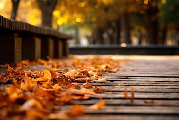 Autumn leaves on walkway copy space for text