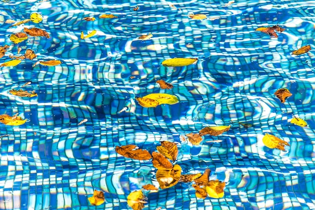 Autumn leaves water in the pool as an abstract background