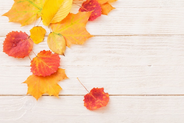 Autumn leaves on white wooden wall