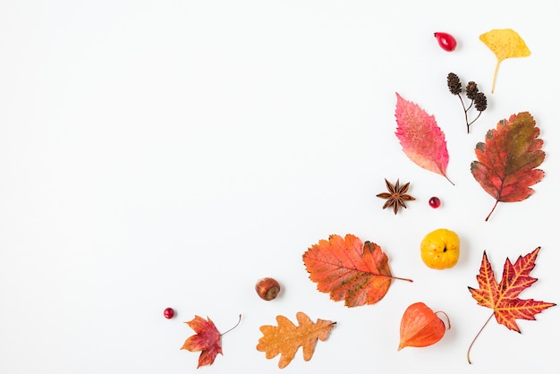 Autumn leaves with nuts isolated on white