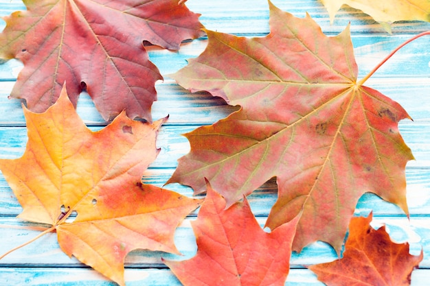 Autumn leaves on wooden background