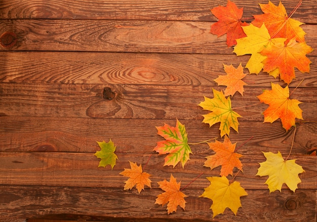 Autumn leaves on a wooden table