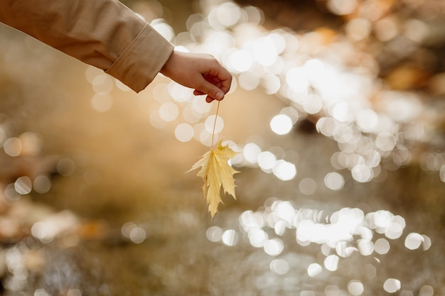 Autumn maple leaf in the hand of a child against the background of a stream. High quality photo