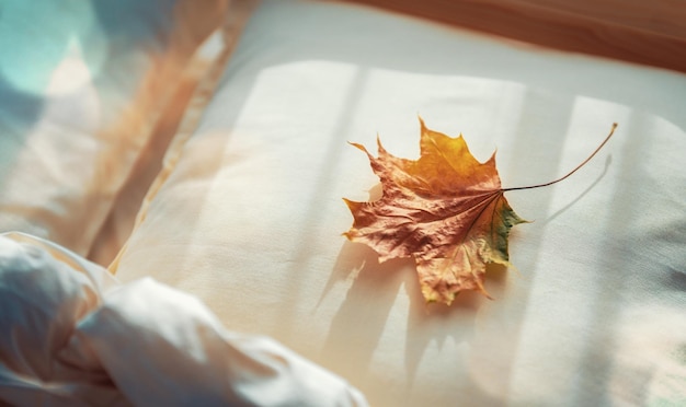 Autumn maple leaf on pillow