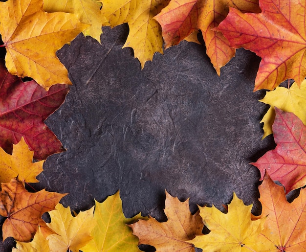 Autumn maple leaves arranged in a frame on a dark concrete background Top view and copy space