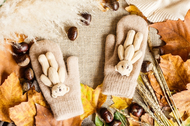 Autumn maple leaves, mittens with little teddy bear and chestnuts lying on a brown.