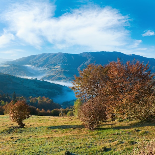 Autumn misty morning mountain hill