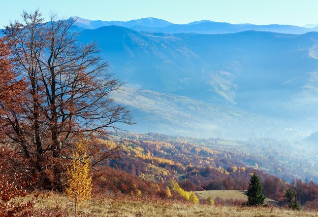 Autumn misty mountain landscape with colorful trees on slope.