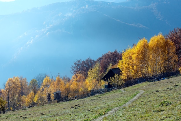 Autumn misty mountain slope with wooden structures behind fence and yellow birch trees.