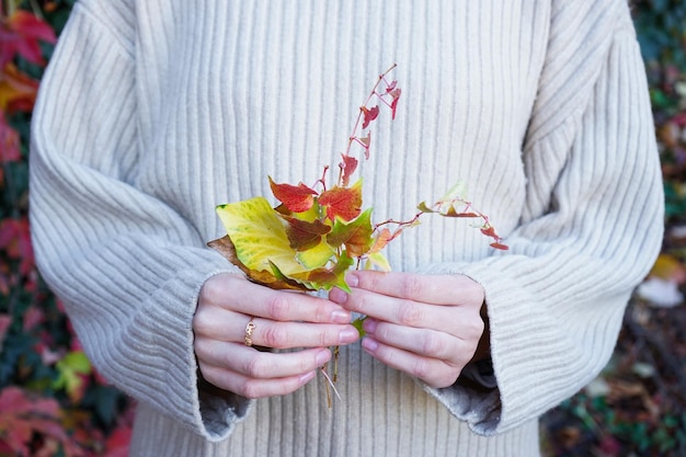 Autumn mood Young girl's hands holding autumn leaves