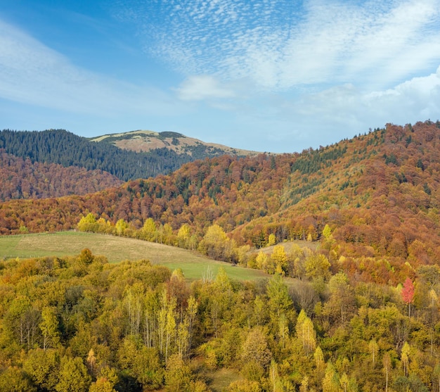 Autumn morning Carpathian Mountains calm picturesque scene Ukraine Peaceful traveling seasonal nature and countryside beauty concept scene