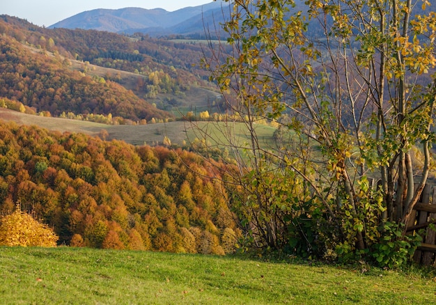 Autumn morning Carpathian Mountains calm picturesque scene Ukraine Peaceful traveling seasonal nature and countryside beauty concept scene