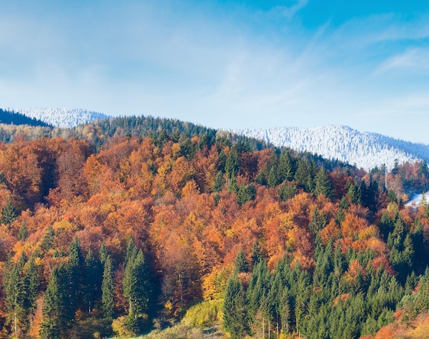 Autumn mountain forest