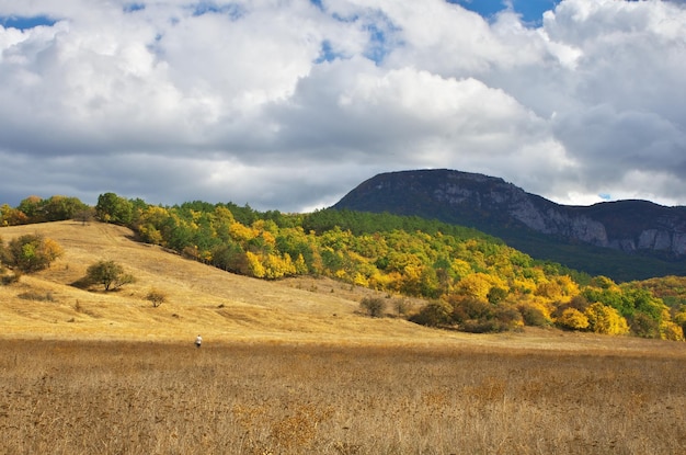 Autumn mountain landscape