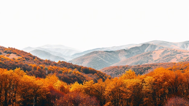 Photo autumn mountain panorama aerial view isola