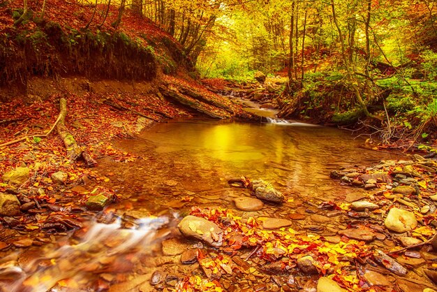 Autumn mountain river