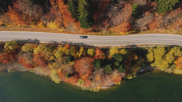 Autumn mountain road