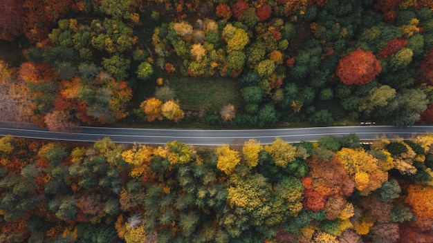 Autumn mountain road