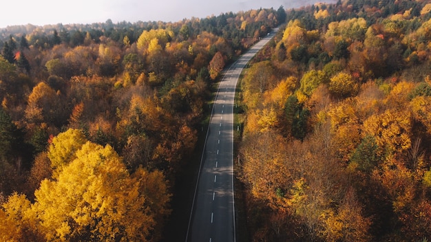 Autumn mountain road