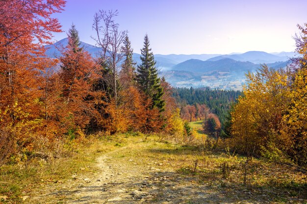 Autumn in the mountains. Panoramic view of the mountains and the valley in autumn. Beautiful nature landscape. Carpathian mountains. Bukovel, Ukraine