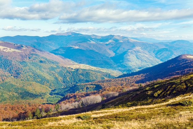 Autumn mountains  with a stark bare trees on forest edge in front (Carpathian, Ukraine).