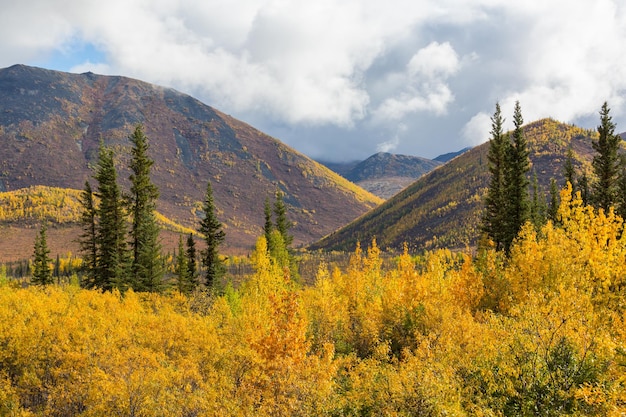 Autumn mountains