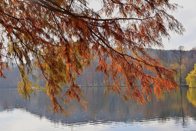 autumn in the mountains