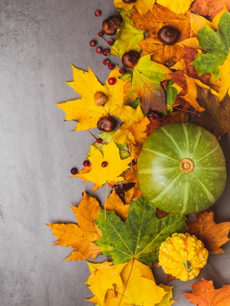 Autumn multicolored leaves and pumpkins acorns chesnuts on concrete background with copy space flat lay minimal concept