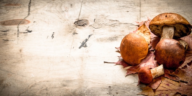 Autumn mushrooms with maple leaves. On a wooden table.