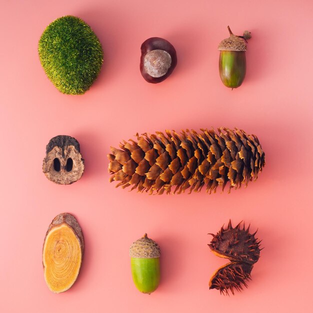 Autumn natural materials - cone, moss, chestnut, acorn, sawn wood, walnut shell - in the form of a square, conceptual flatley on a pink background