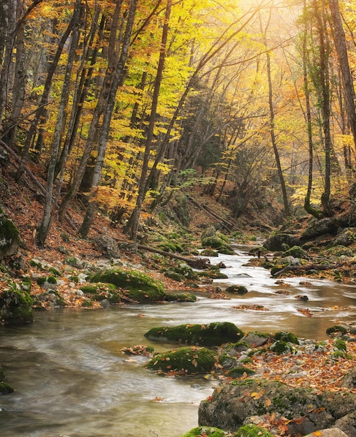 Autumn nature landscape