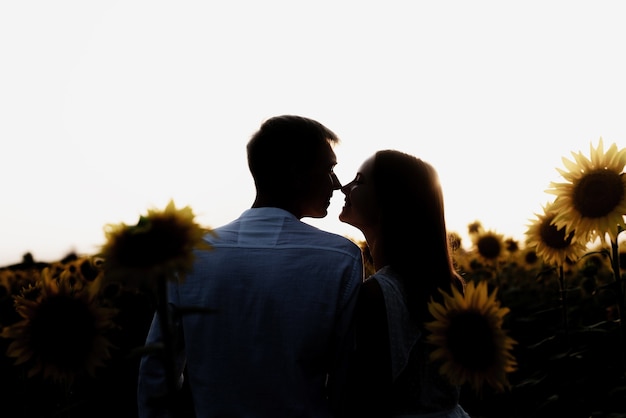 Autumn nature. Young romantic couple walking in sunflower field in sunset