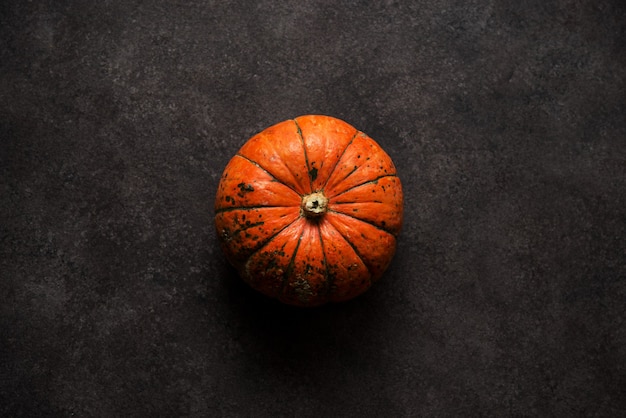 Autumn orange mini pumpkin on a concrete background, top view, copy space