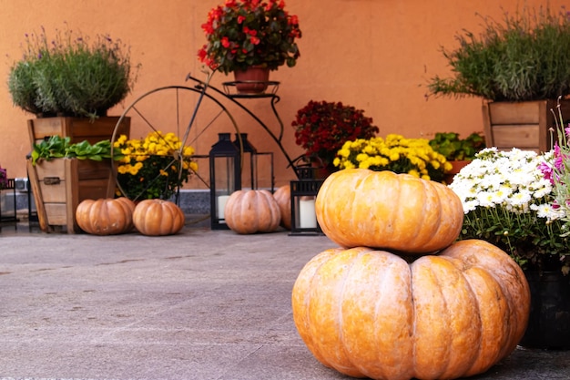 Autumn outdoor decorations from pumpkins flowers and hay