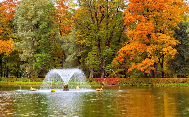 Autumn in the Palace Park in Peterhof St Petersburg Russia