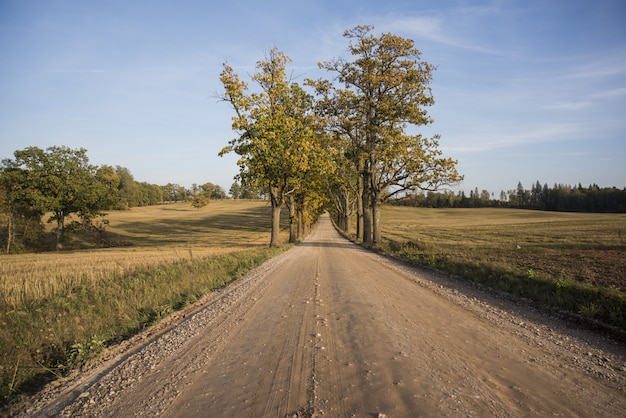 Photo autumn panorama. landscape view.